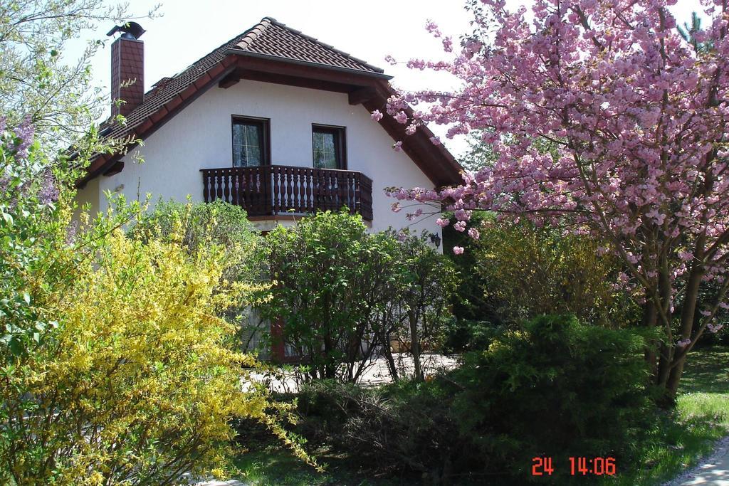 Ferienhaus "Werrablick-Frankenroda" Exterior photo